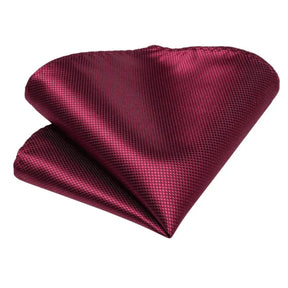 gravata-classica-de-seda-lorvanni-9